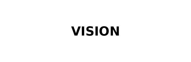 VISION