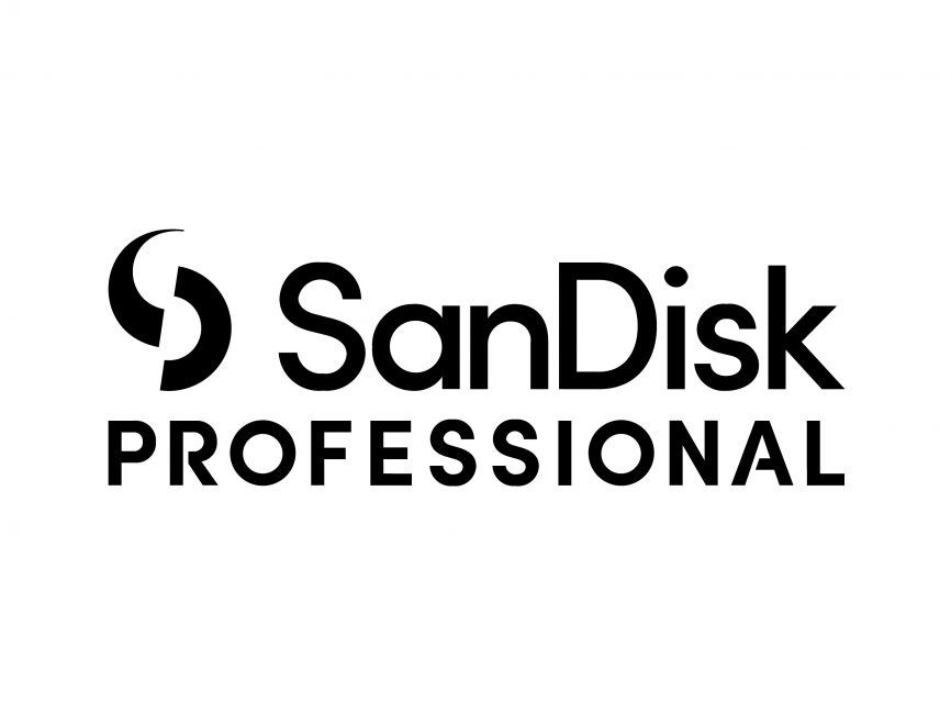 SANDISK PROFESSIONAL